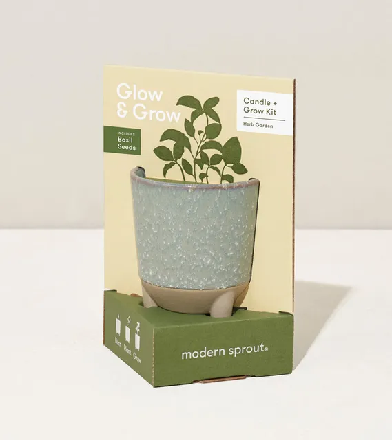 Glow & Grow Herb Garden by Modern Sprout