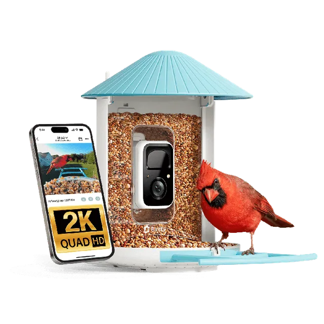 Birdfy Camera Feeder Standard Kit by Birdfy