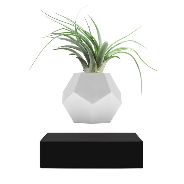 LYFE Levitating Planter by FLYTE