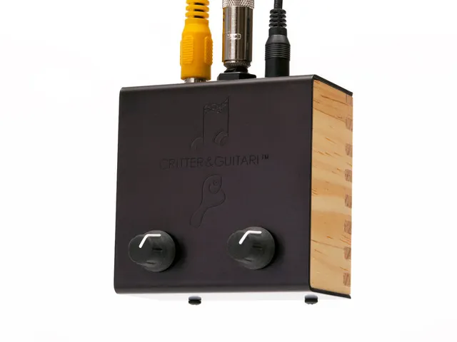 Black & White Video Scope by Critter & Guitari